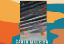 Resumo do Livro Tudo é RIO de Carla Madeira