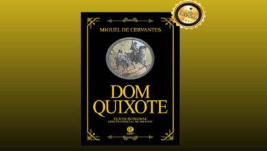resumo Dom Quixote