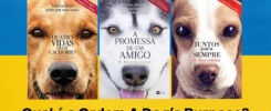 Qual é a Ordem A Dog’s Purpose?