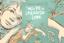 Resumo do livro meu pé de laranja lima