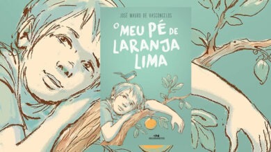 Resumo do livro meu pé de laranja lima