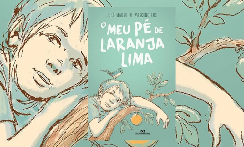 Resumo do livro meu pé de laranja lima