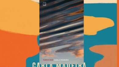 Resumo do Livro Tudo é RIO de Carla Madeira